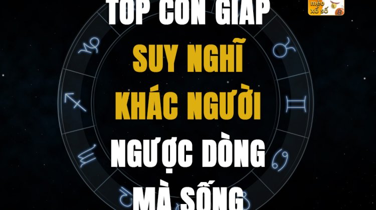 Top con giáp suy nghĩ khác người, ngược dòng mà sống