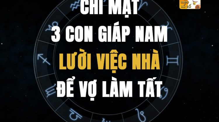 Chỉ mặt 3 con giáp nam lười việc nhà, để vợ làm tất