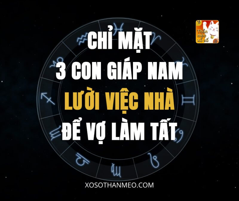 Chỉ mặt 3 con giáp nam lười việc nhà, để vợ làm tất