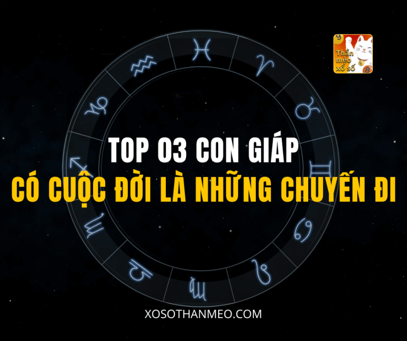 Top 3 con giáp có cuộc đời là những chuyến đi