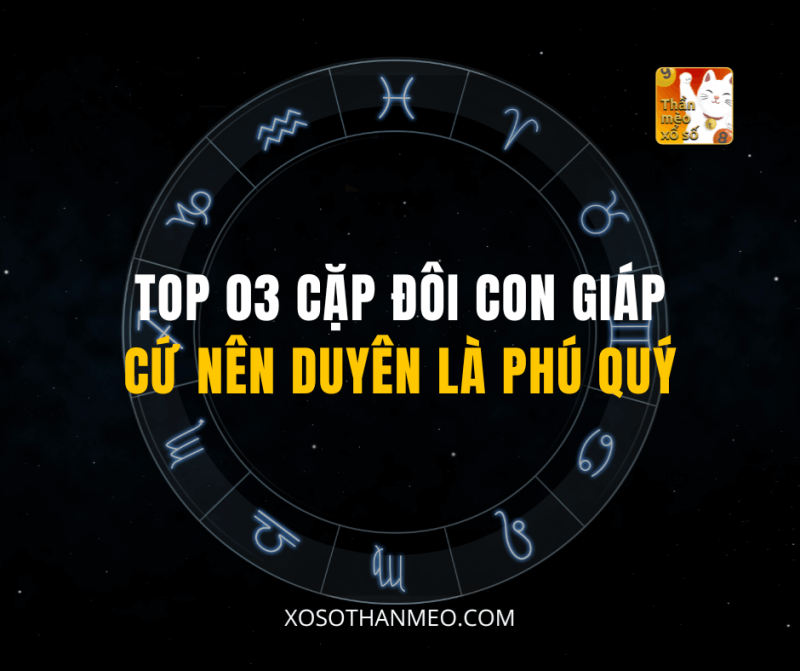 TOP 03 CẶP ĐÔI CON GIÁP CỨ NÊN DUYÊN LÀ PHÚ QUÝ