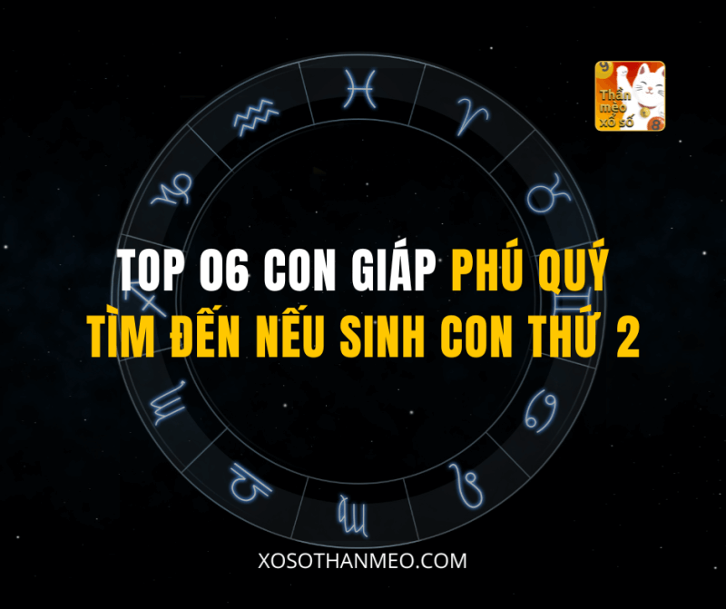 TOP 06 CON GIÁP PHÚ QUÝ TÌM ĐẾN NẾU SINH CON THỨ 2