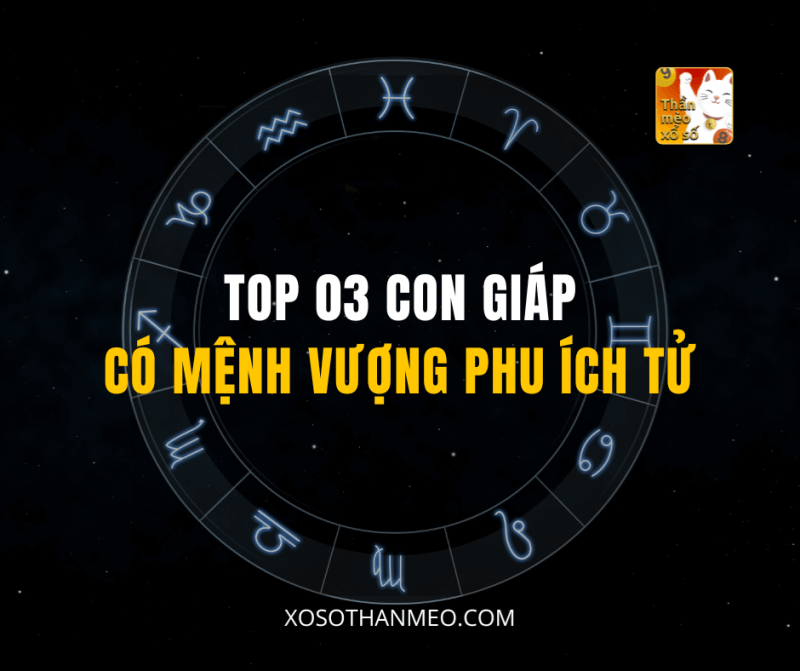 TOP 03 CON GIÁP CÓ MỆNH VƯỢNG PHU ÍCH TỬ