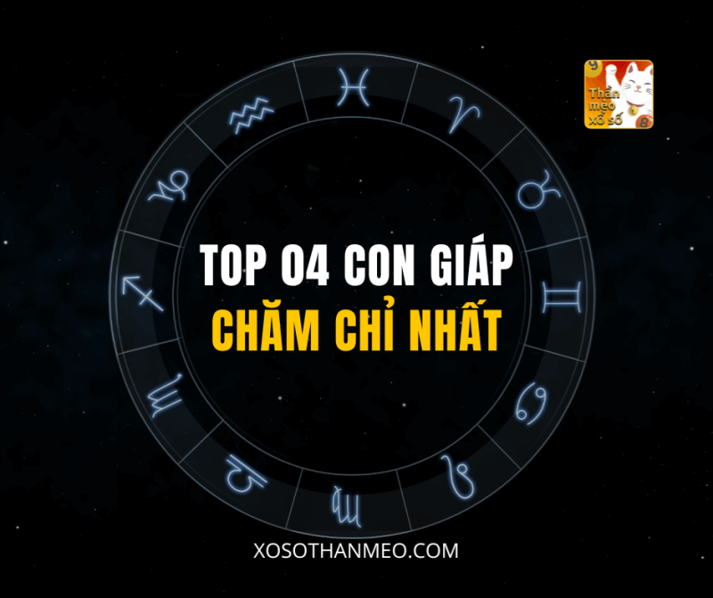 TOP 04 CON GIÁP CHĂM CHỈ NHẤT