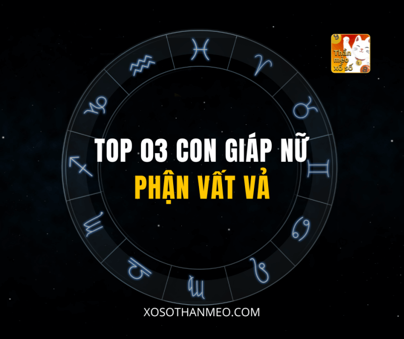 TOP 03 CON GIÁP NỮ PHẬN VẤT VẢ