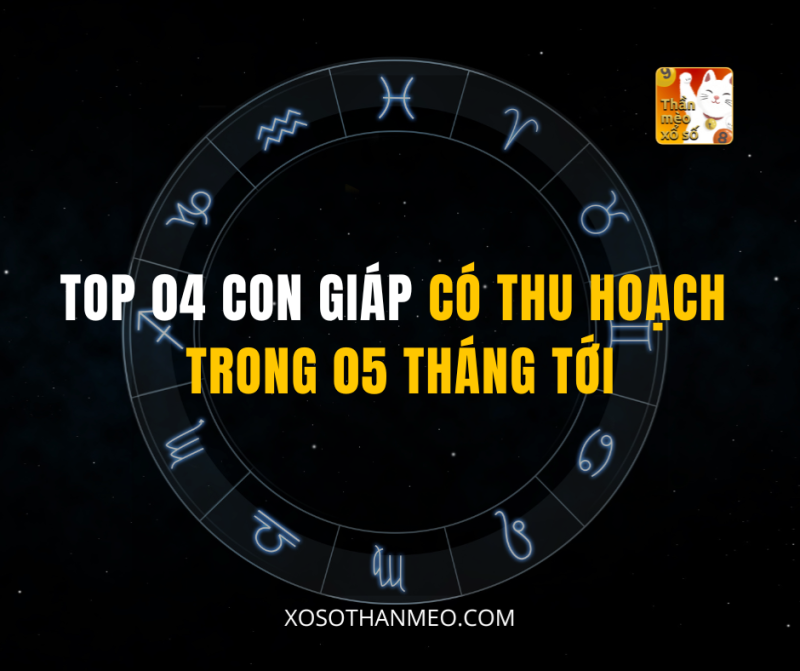 TOP 04 CON GIÁP CÓ THU HOẠCH TRONG 05 THÁNG TỚI