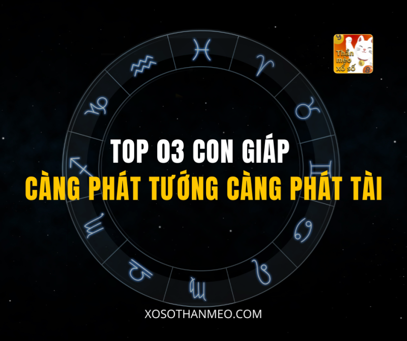 TOP 03 CON GIÁP CÀNG PHÁT TƯỚNG CÀNG PHÁT TÀI