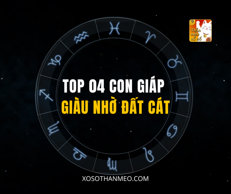 TOP 04 CON GIÁP GIÀU NHỜ ĐẤT CÁT