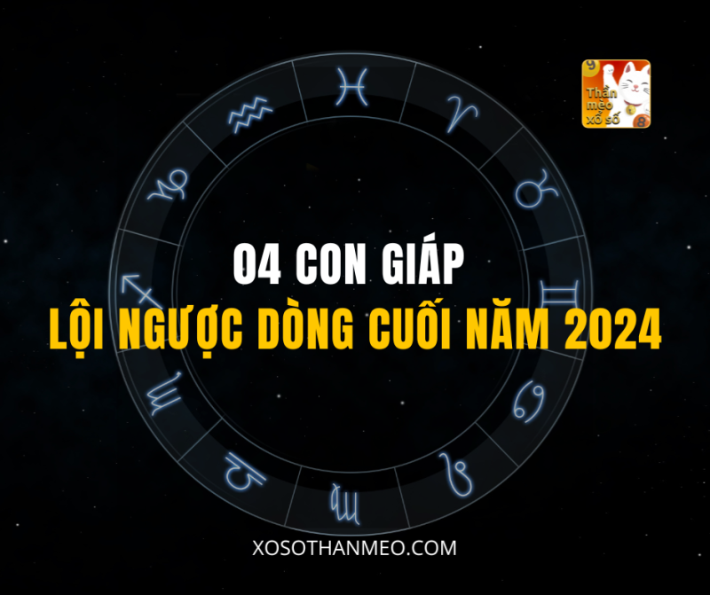 04 CON GIÁP LỘI NGƯỢC DÒNG CUỐI NĂM 2024