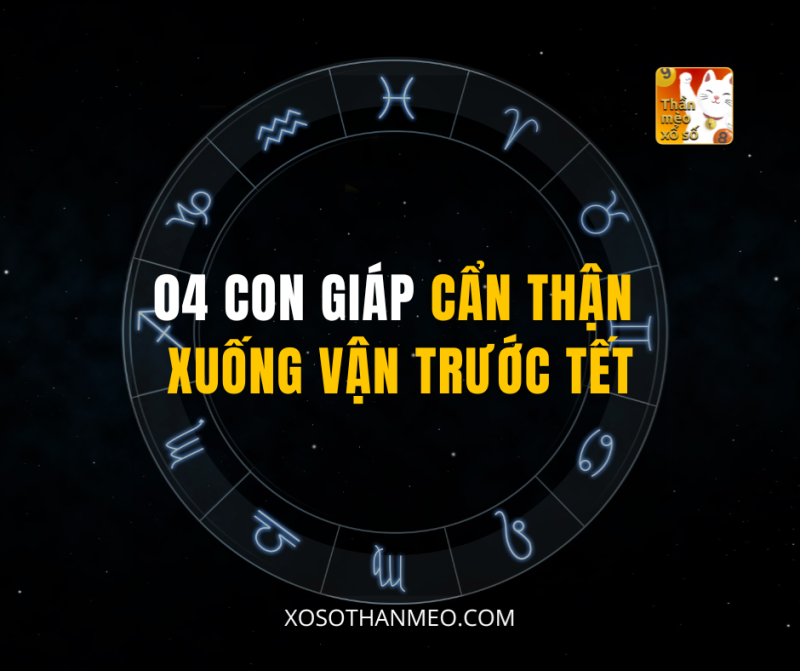 04 CON GIÁP CẨN THẬN XUỐNG VẬN TRƯỚC TẾT