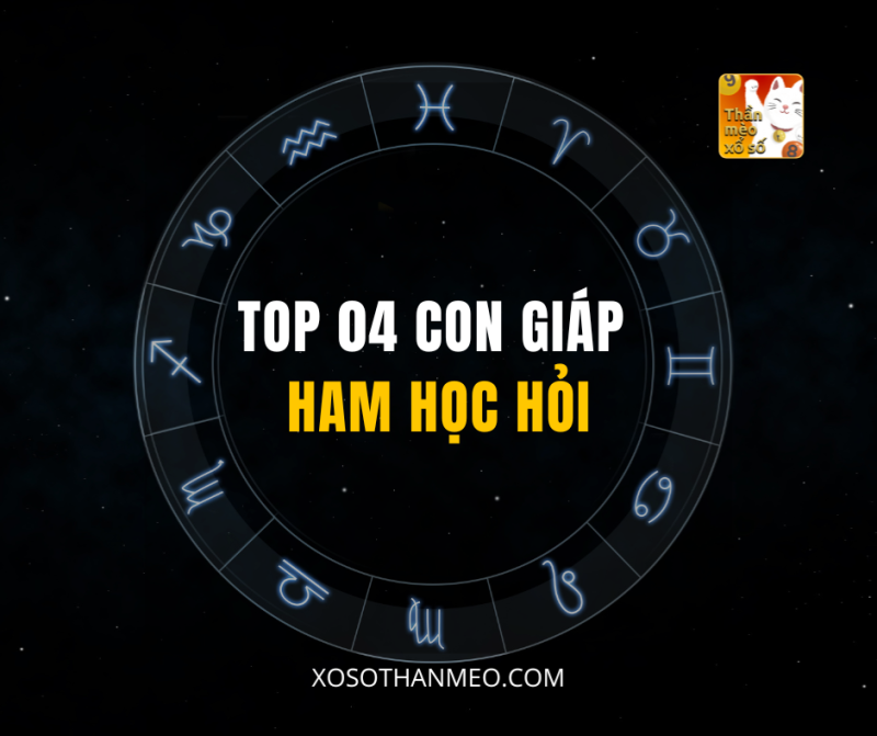 TOP 04 CON GIÁP HAM HỌC HỎI