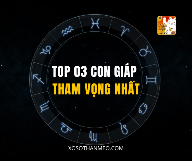 TOP 03 CON GIÁP THAM VỌNG NHẤT