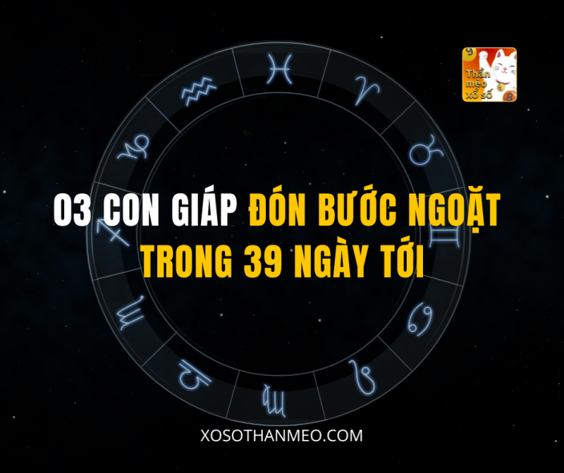03 CON GIÁP ĐÓN BƯỚC NGOẶT TRONG 39 NGÀY TỚI