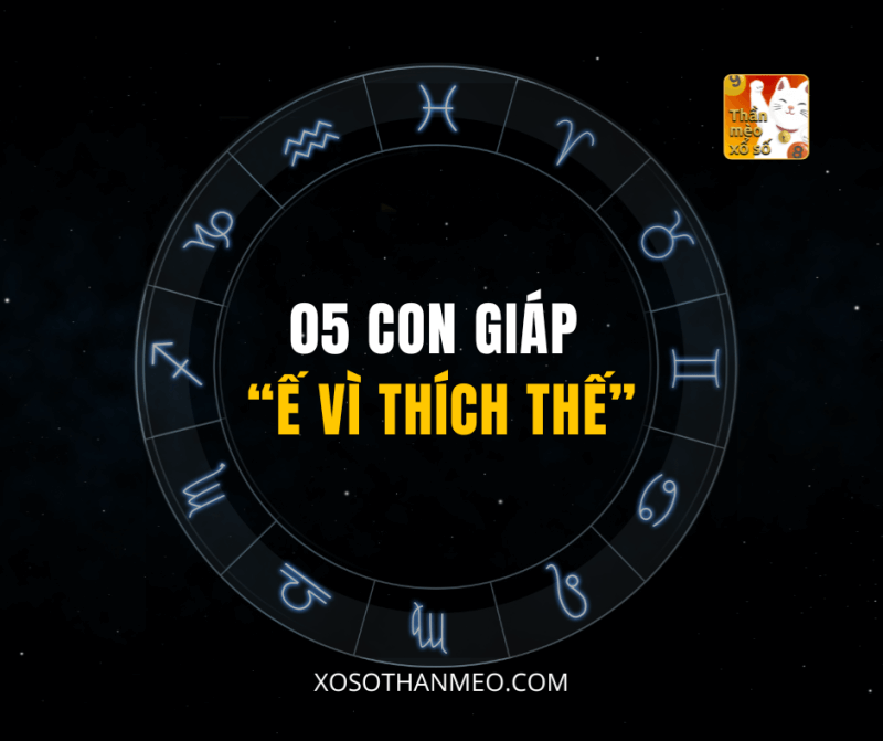 05 CON GIÁP “Ế VÌ THÍCH THẾ”