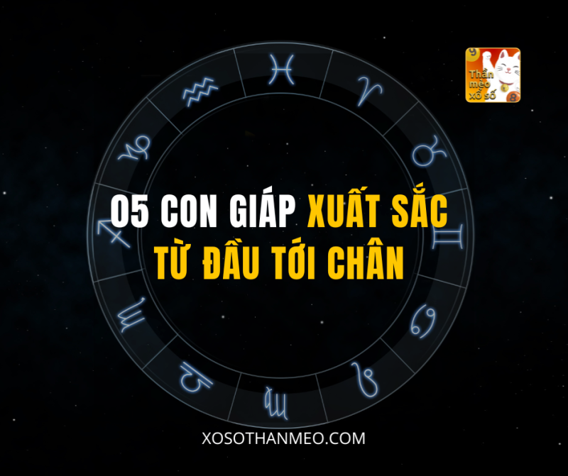 05 CON GIÁP XUẤT SẮC TỪ ĐẦU TỚI CHÂN