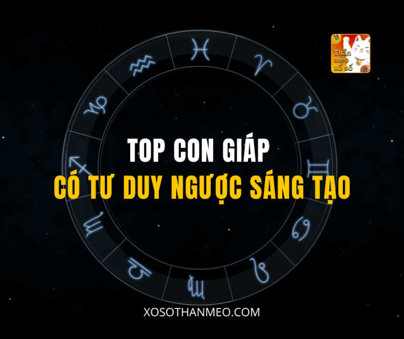 TOP CON GIÁP CÓ TƯ DUY NGƯỢC SÁNG TẠO