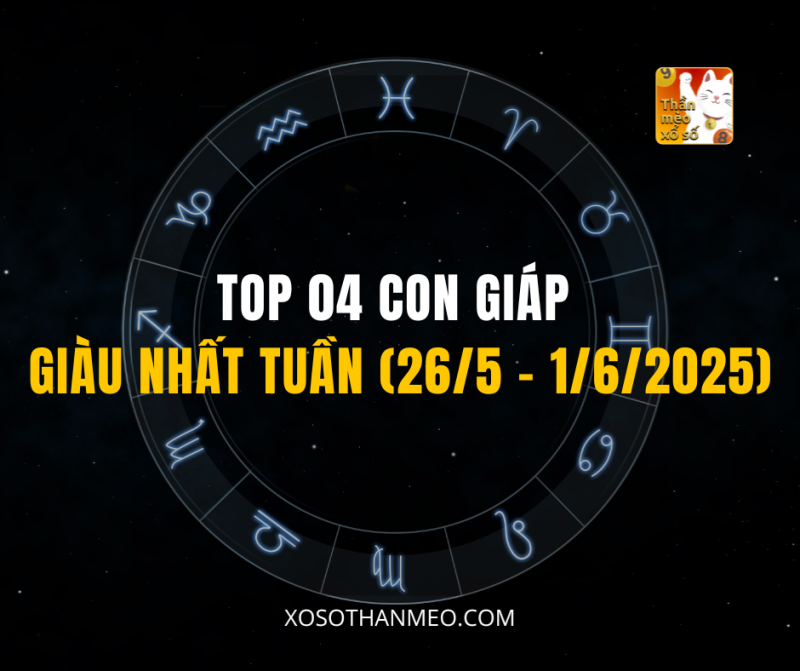 TOP 04 CON GIÁP GIÀU NHẤT TUẦN (26/5 – 1/6/2025)