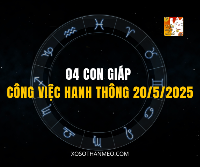 04 CON GIÁP CÔNG VIỆC HANH THÔNG 20/5/2025