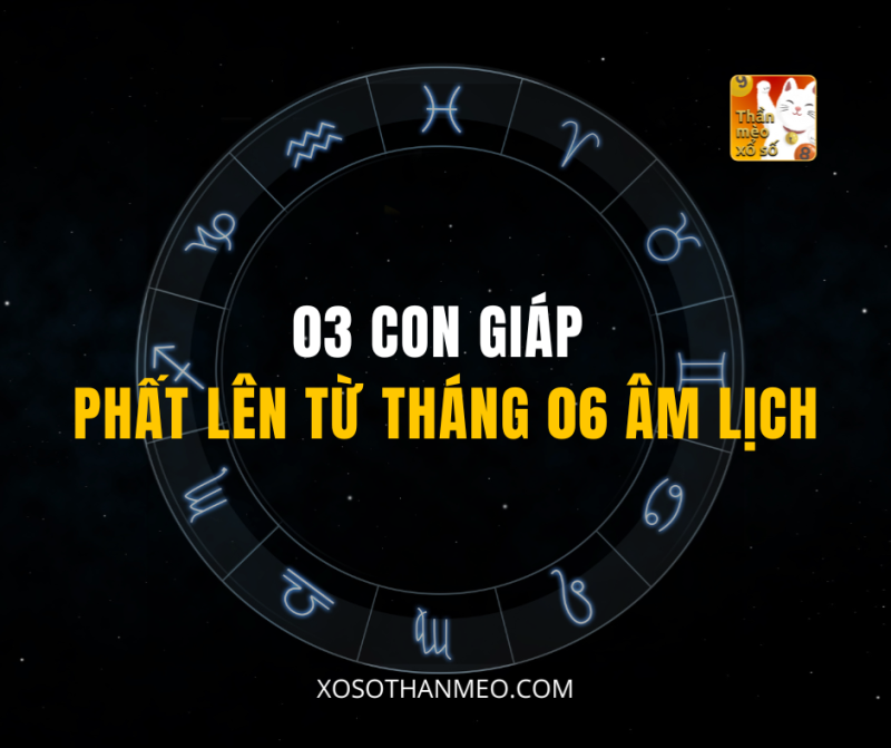 03 CON GIÁP PHẤT LÊN TỪ THÁNG 06 ÂM LỊCH