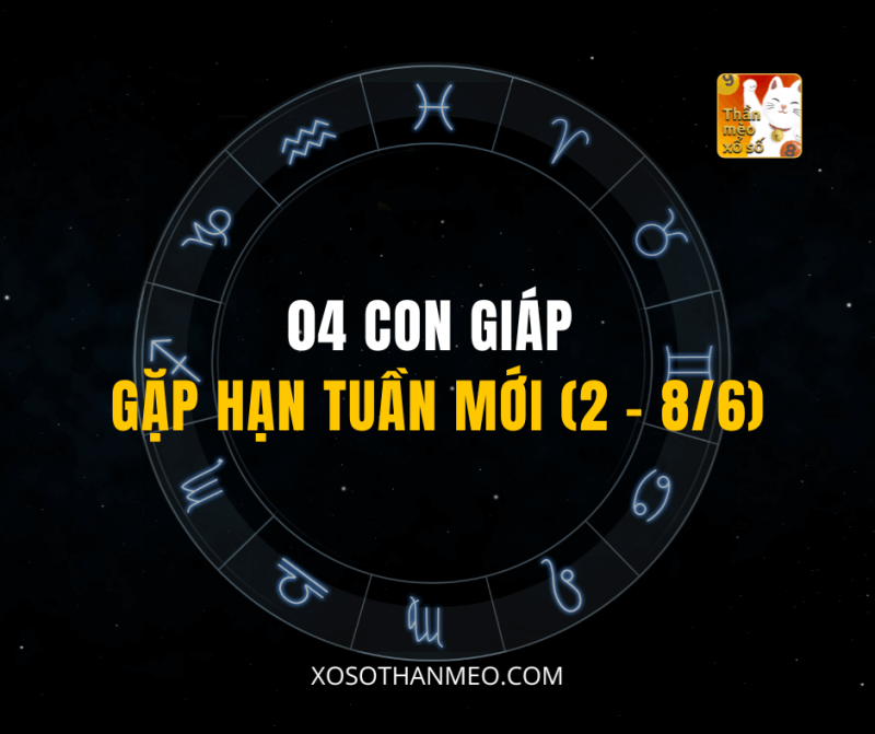 04 CON GIÁP GẶP HẠN TUẦN MỚI (2 - 8/6)