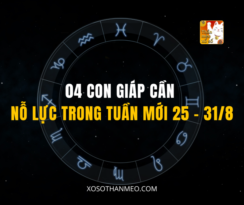 04 CON GIÁP CẦN NỖ LỰC TRONG TUẦN MỚI 25 – 31/8