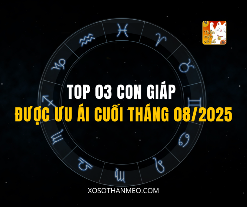 TOP 03 CON GIÁP ĐƯỢC ƯU ÁI CUỐI THÁNG 08/2025