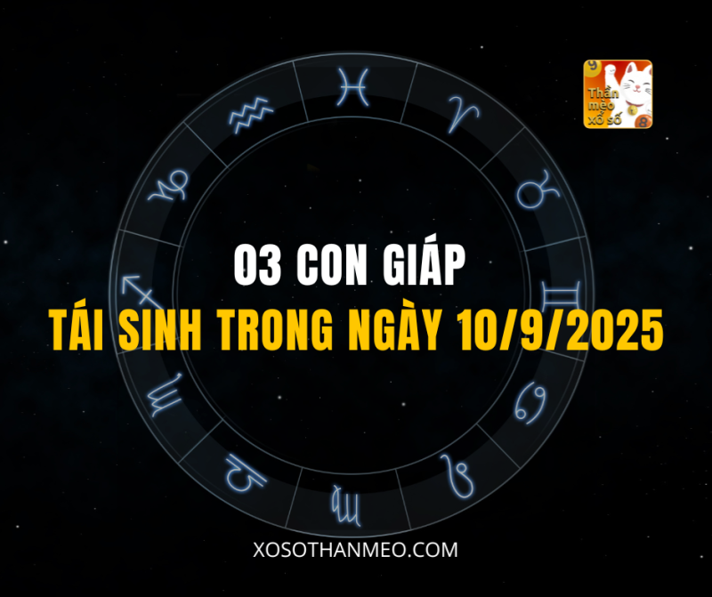 03 CON GIÁP TÁI SINH TRONG NGÀY 10/9/2025