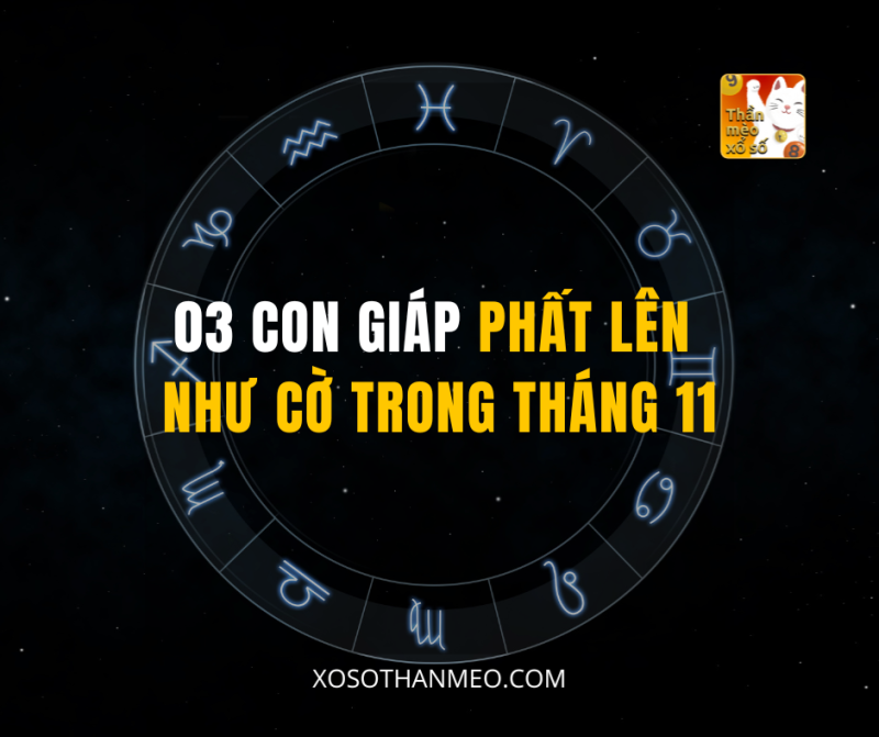 03 CON GIÁP PHẤT LÊN NHƯ CỜ TRONG THÁNG 11