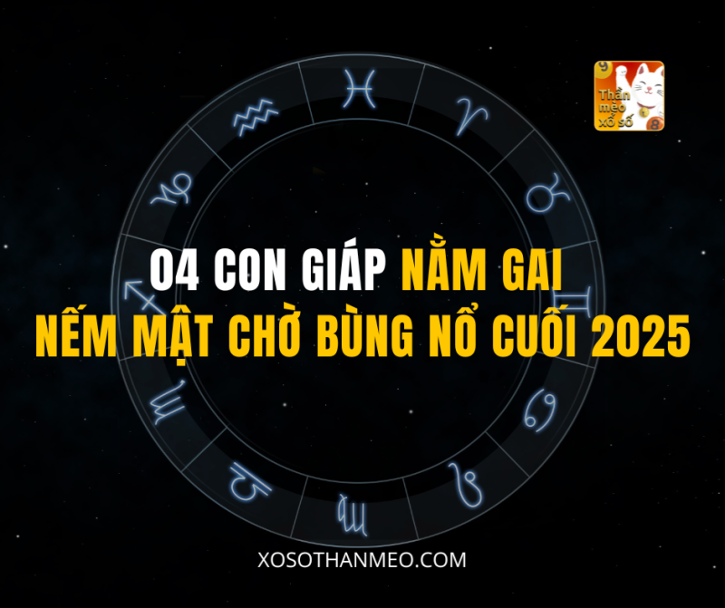 04 CON GIÁP NẰM GAI NẾM MẬT CHỜ BÙNG NỔ CUỐI 2025