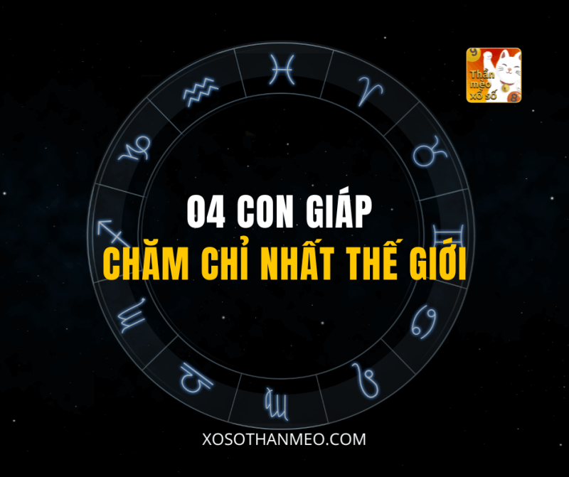 04 CON GIÁP CHĂM CHỈ NHẤT THẾ GIỚI