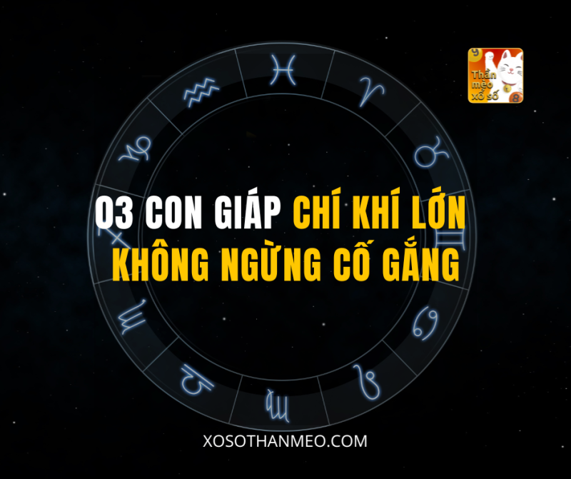 03 CON GIÁP CHÍ KHÍ LỚN KHÔNG NGỪNG CỐ GẮNG
