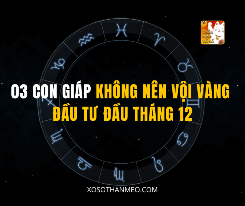 03 CON GIÁP KHÔNG NÊN VỘI VÀNG ĐẦU TƯ ĐẦU THÁNG 12