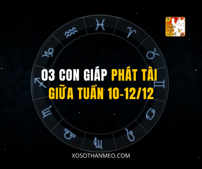 03 CON GIÁP PHÁT TÀI GIỮA TUẦN 10-12/12