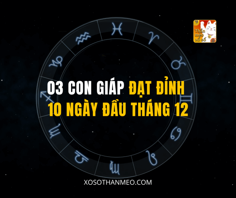 03 CON GIÁP ĐẠT ĐỈNH 10 NGÀY ĐẦU THÁNG 12