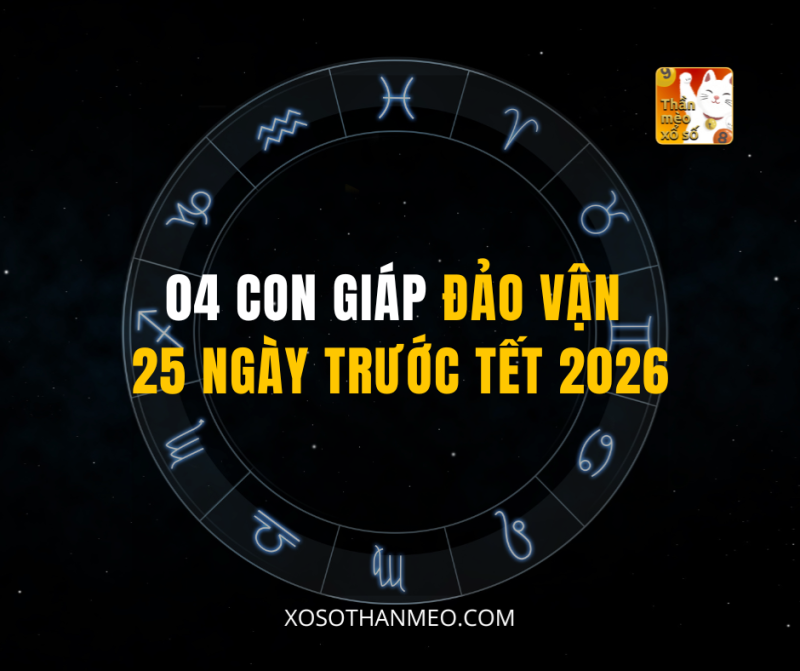 04 CON GIÁP ĐẢO VẬN 25 NGÀY TRƯỚC TẾT 2026
