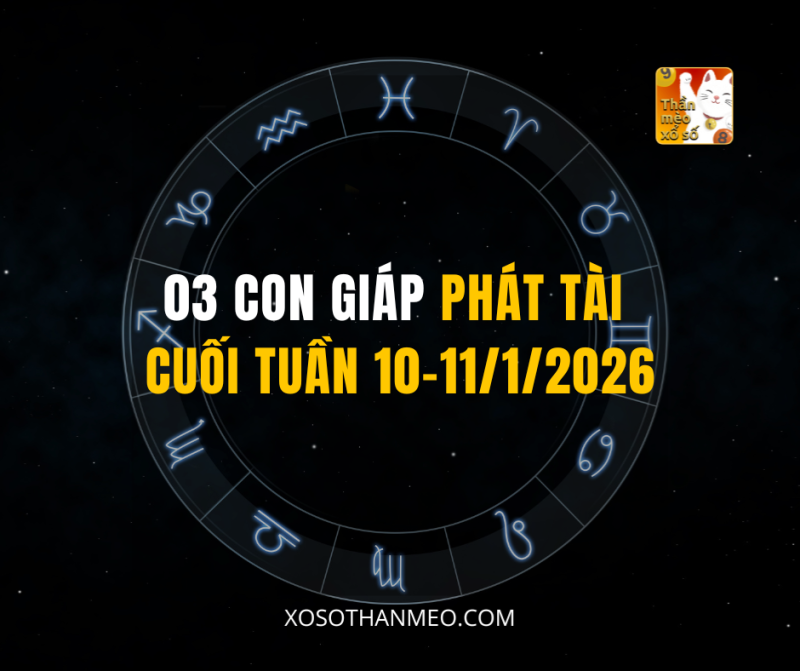 03 CON GIÁP PHÁT TÀI CUỐI TUẦN 10–11/1/2026