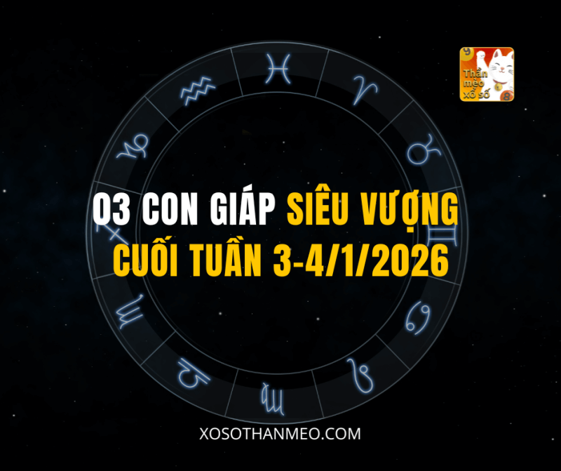 03 CON GIÁP SIÊU VƯỢNG CUỐI TUẦN 3–4/1/2026