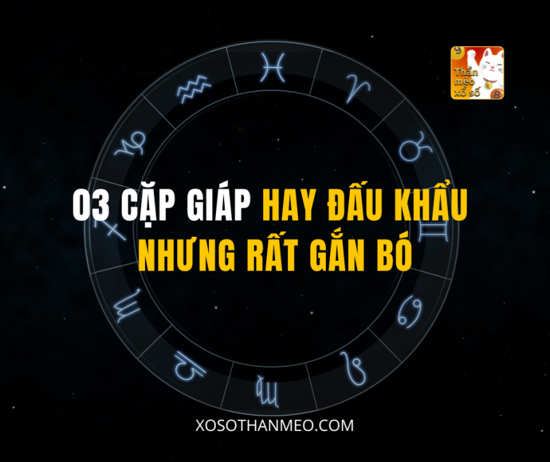 03 CẶP GIÁP HAY ĐẤU KHẨU NHƯNG RẤT GẮN BÓ