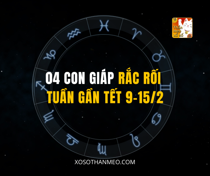 04 CON GIÁP RẮC RỐI TUẦN GẦN TẾT 9–15/2
