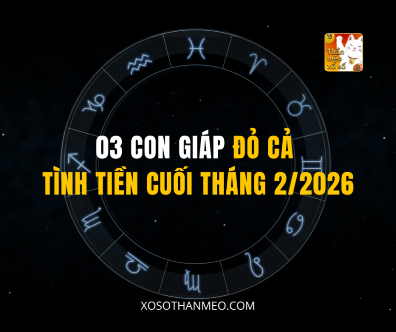 03 CON GIÁP ĐỎ CẢ TÌNH TIỀN CUỐI THÁNG 2/2026