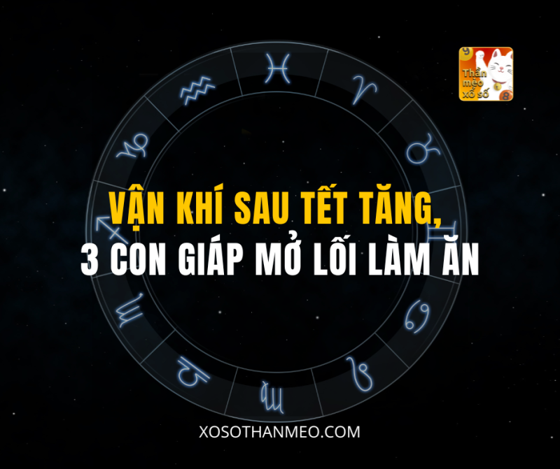 VẬN KHÍ SAU TẾT TĂNG, 3 CON GIÁP MỞ LỐI LÀM ĂN
