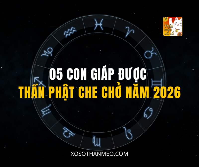 05 CON GIÁP ĐƯỢC THẦN PHẬT CHE CHỞ NĂM 2026