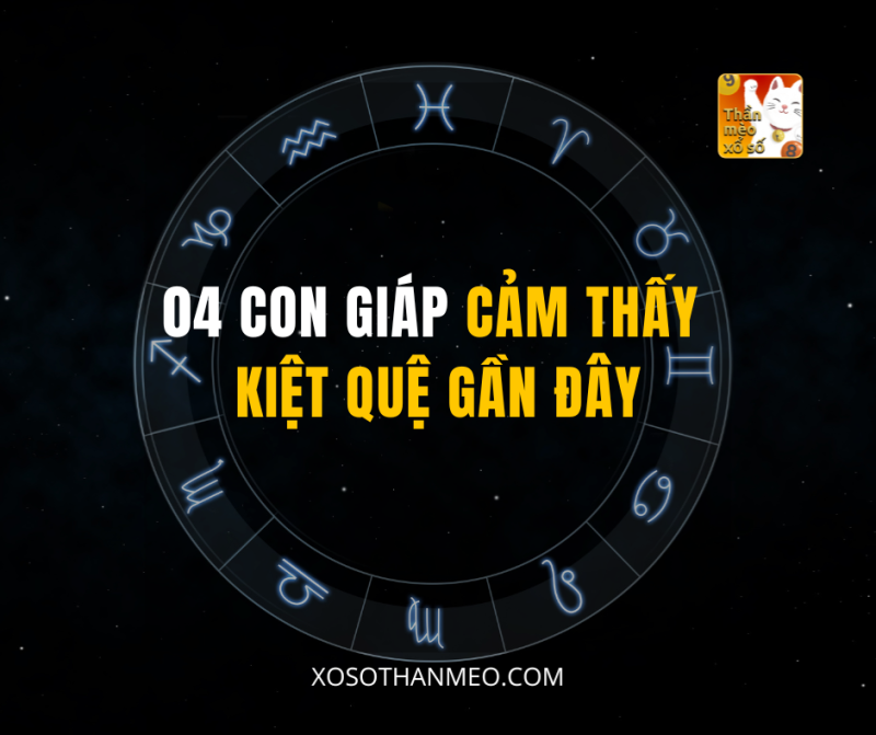 04 CON GIÁP CẢM THẤY KIỆT QUỆ GẦN ĐÂY