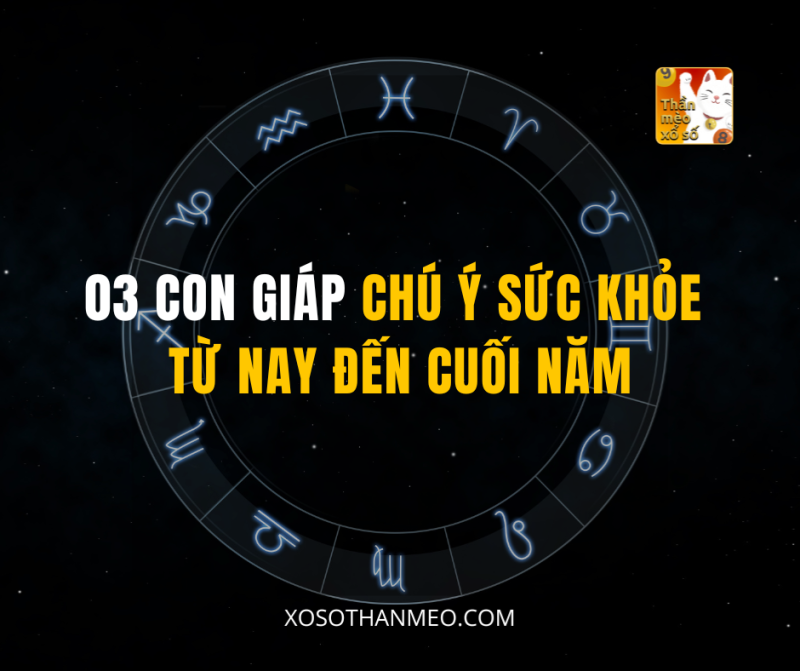 03 CON GIÁP CHÚ Ý SỨC KHỎE TỪ NAY ĐẾN CUỐI NĂM