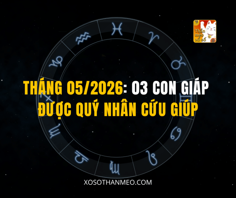 THÁNG 05/2026: 03 CON GIÁP ĐƯỢC QUÝ NHÂN CỨU GIÚP