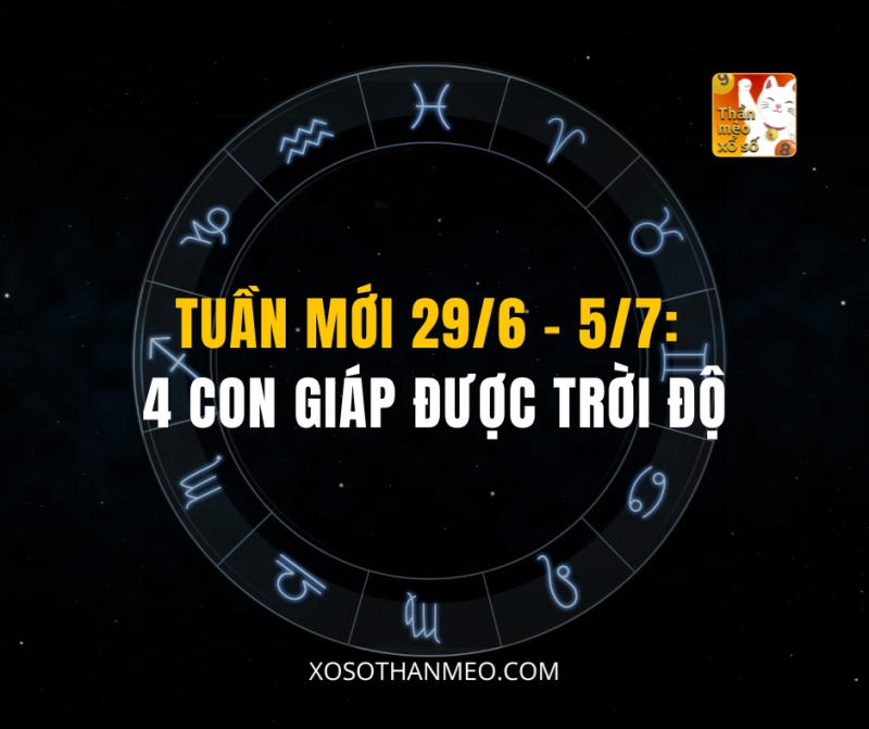 TUẦN MỚI 29/6 – 5/7: 4 CON GIÁP ĐƯỢC TRỜI ĐỘ