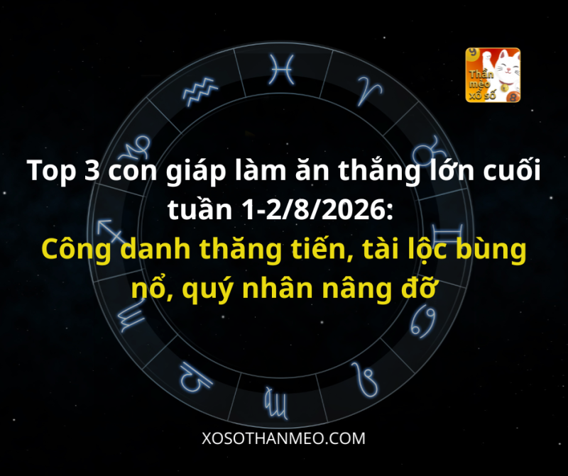 Top 3 con giáp làm ăn thắng lớn cuối tuần 1-2/8/2026: Công danh thăng tiến, tài lộc bùng nổ, quý nhân nâng đỡ