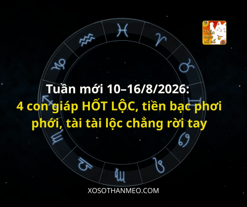 Tuần mới 10–16/8/2026: 4 con giáp HỐT LỘC, tiền bạc phơi phới, tài tài lộc chẳng rời tay