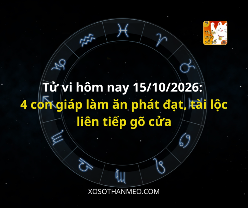 Tử vi hôm nay 15/10/2026: 4 con giáp làm ăn phát đạt, tài lộc liên tiếp gõ cửa