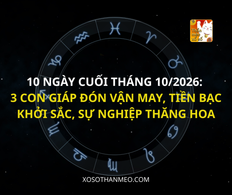 10 NGÀY CUỐI THÁNG 10/2026: 3 CON GIÁP ĐÓN VẬN MAY, TIỀN BẠC KHỞI SẮC, SỰ NGHIỆP THĂNG HOA
